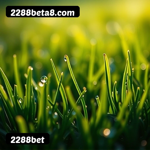 Vantagens exclusivas 2288bet para jogadores brasileiros - São Paulo, Rio, BH